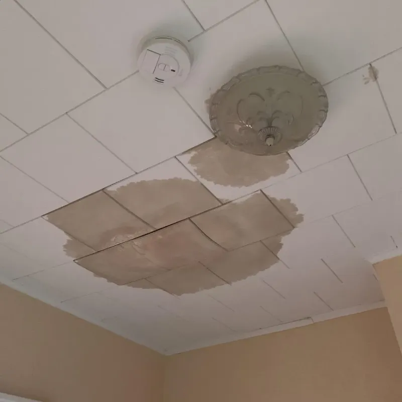 Ceiling Water Damage Repair in Windsor County, VT