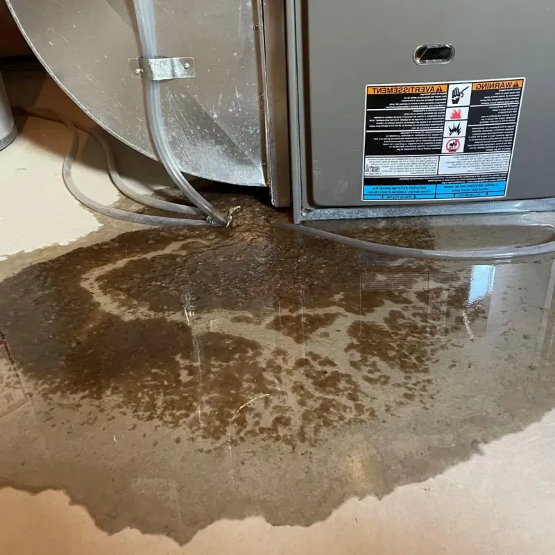 Pipe Burst and Leak Restoration in Windsor County, VT